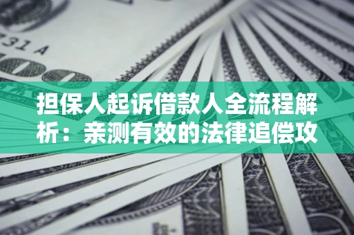 济南担保人起诉借款人全流程解析：亲测有效的法律追偿攻略
