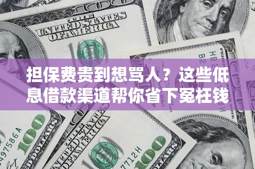 济南担保费贵到想骂人？这些低息借款渠道帮你省下冤枉钱