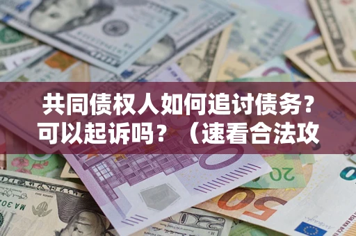 济南共同债权人如何追讨债务？可以起诉吗？（速看合法攻略）